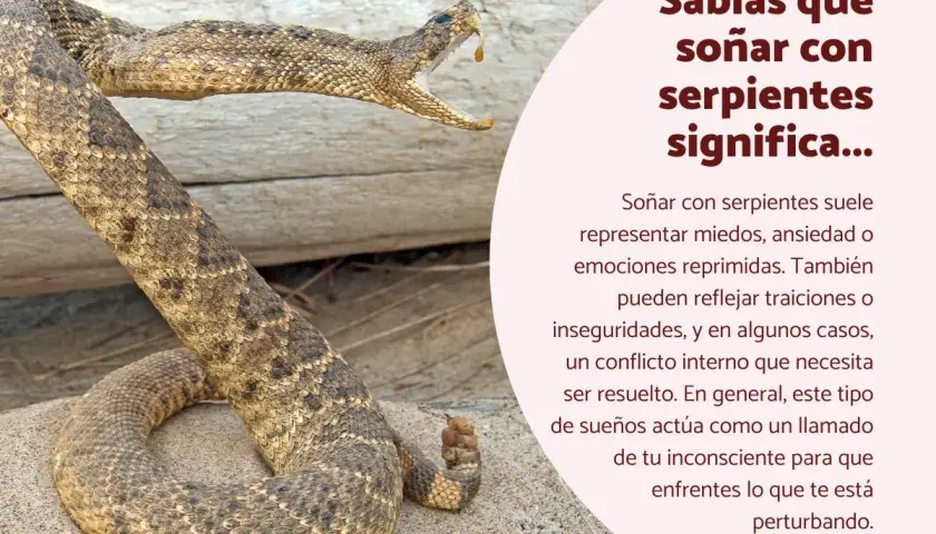 Una serpiente de cascabel con la boca abierta, lista para morder. Soñar que te muerde una serpiente puede indicar miedos o conflictos internos.