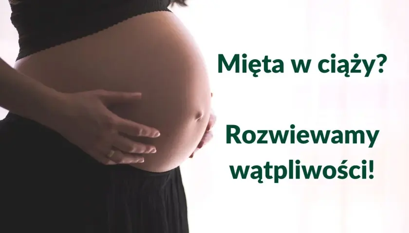 Brzuch kobiety w ciąży, z dłońmi delikatnie go obejmującymi. Obok tekst: "Mięta w ciąży? Rozwiewamy wątpliwości!".