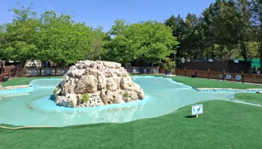 Un aquapark canino con perros al agua, listo para la diversión. Un estanque artificial con rocas y césped artificial para que los perros disfruten.