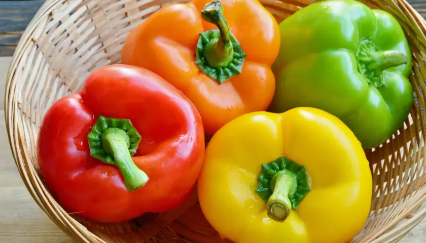 Bunte Paprika in einem Korb – rot, gelb, orange und grün. Perfekt für die Lagerung und Zubereitung frischer Gerichte.