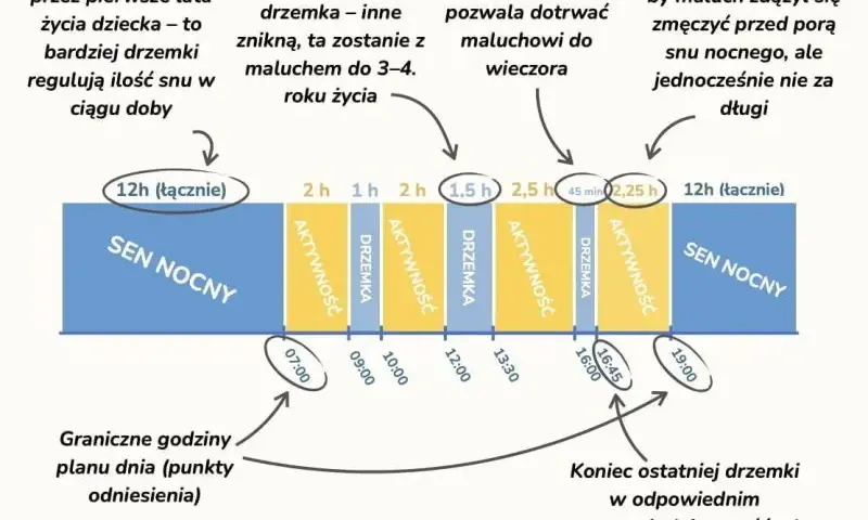 Idealny plan dnia 7 miesięcznego dziecka: kompletny schemat dla rodziców