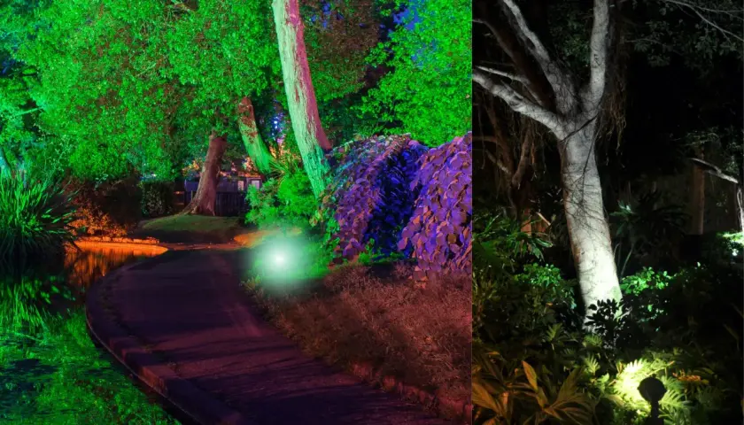 Magiczny ogród nocą. Oświetlenie drzewa tworzy surrealistyczną atmosferę, odbijając się w wodzie i podkreślając piękno roślin.