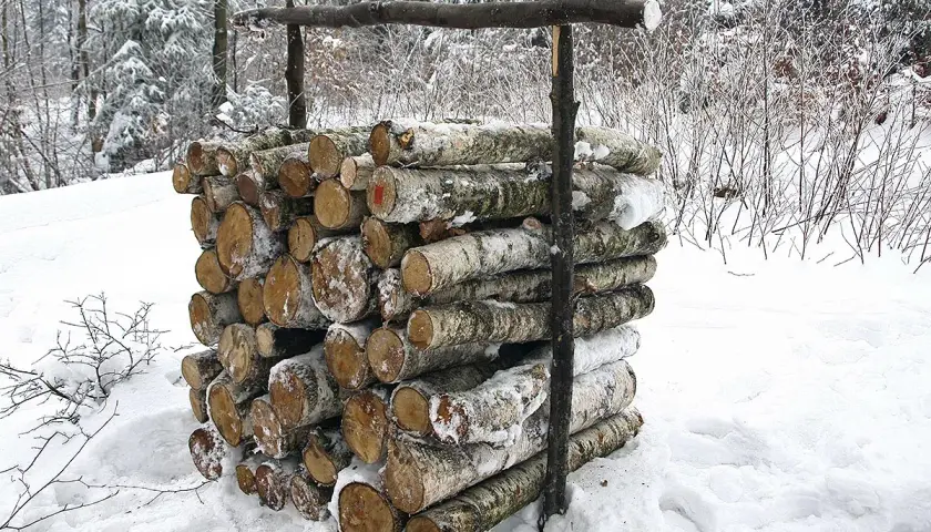 Stos drewna, prawdopodobnie metr sześcienny, przygotowany do zimowego ogrzewania. Kłody pokryte śniegiem, otoczone zimowym lasem.