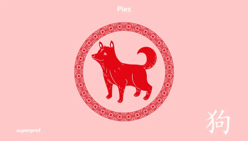 Czerwony pies w okręgu, symbol chińskiego zodiaku. Dowiedz się, jaki mam chiński znak zodiaku!