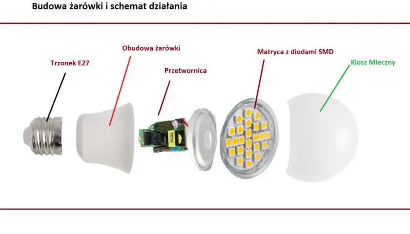 Rozłożona żarówka LED: trzonek E27, obudowa, przetwornica, matryca z diodami SMD i klosz mleczny. Poznaj budowę żarówki.