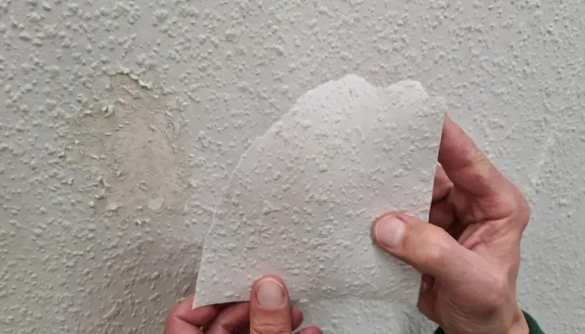 Hände halten ein Stück abgelöste Raufasertapete hoch, um einen beschädigten Bereich an der Wand zu inspizieren.