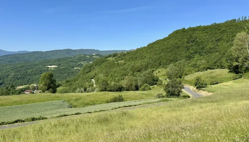 Un paesaggio verdeggiante con colline boscose e campi coltivati. Una strada serpeggia verso il passo della Cappelletta, Piacenza, sotto un cielo azzurro.