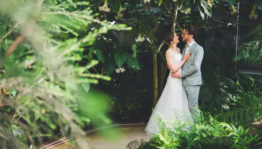 Brautpaar im Grünen, umgeben von üppiger Vegetation. Tolle Spalier Hochzeit Ideen für eine romantische Zeremonie.