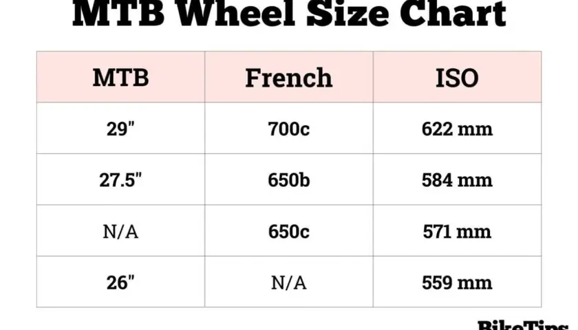 MTB wheel size chart showing ISO, French, and MTB sizes. Understanding ETRTO meaning helps decode these measurements for your bike.
