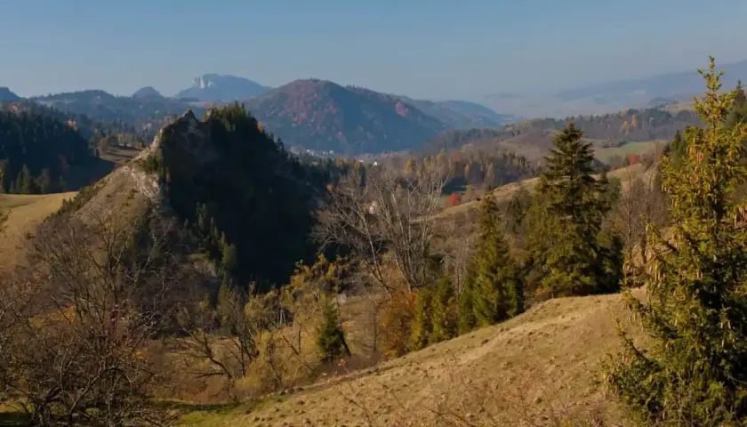 Jesienny krajobraz Pienin Wysokiej z łagodnymi wzgórzami, skalistym zboczem i drzewami w barwach jesieni.