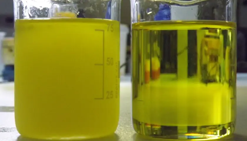 Dwa zlewki z żółtym płynem. Na lewej widać osad, co może sugerować, w jakiej temperaturze zamarza diesel.