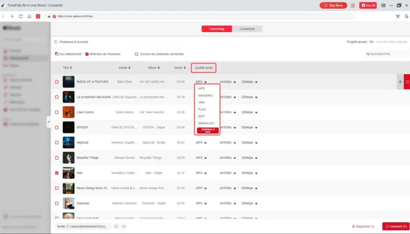 Interface de conversion audio, avec des options de qualité audio comme MP3, M4A, WAV, FLAC, AIFF, masterisé pour Apple.