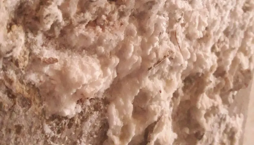 Dettaglio di muffa bianca sui muri, con texture ruvida e irregolare, che suggerisce un problema di umidità in una casa.