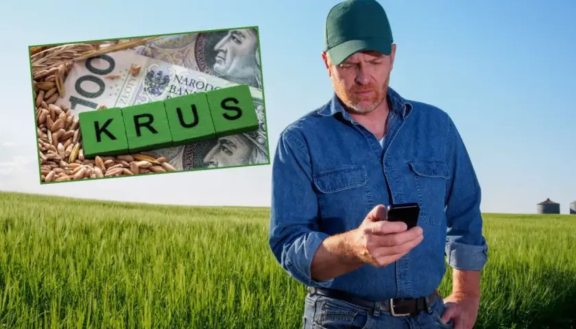 Rolnik w polu sprawdza telefon. Obok zboże, banknot 100 zł i kostki z napisem "KRUS". Ubezpieczony rolnik dba o swoje interesy.