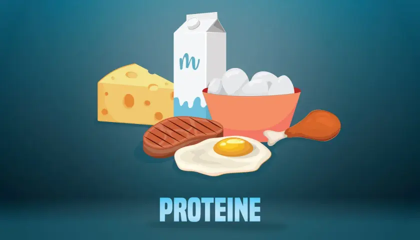 Ein Berg aus Käse, Steak, Spiegelei, Hühnerbein, Milch und Eiern – das ist zu viel Eiweiß!