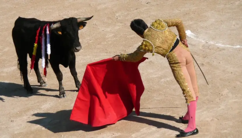 Czy corrida jest zakazana w Hiszpanii? Sprawdź kontrowersje prawne