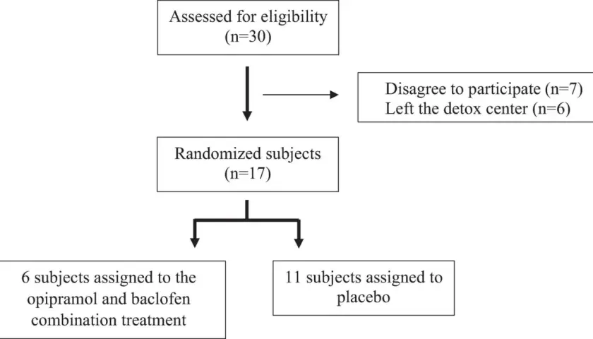 Schemat badania: 30 osób oceniono pod kątem kwalifikacji, 17 zrandomizowano. 6 osób otrzymało opipramol i baklofen, 11 placebo.