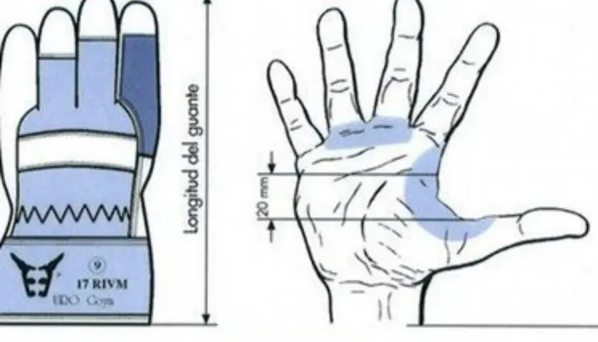 Guía para la talla de manos: un guante (Fig. 1) y una mano con medidas (Fig. 2) para asegurar el ajuste perfecto.