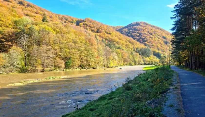 Jesień nad Popradem. Ścieżka rowerowa wzdłuż rzeki, góry w złotych barwach. Idealne miejsce na **velo Poprad**.