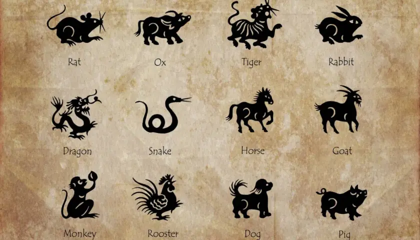 Koń: charakterystyka i cechy chińskiego znaku zodiaku
