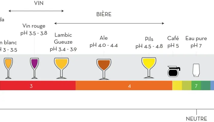 Échelle de pH montrant des boissons acides comme le vinaigre et le vin, puis des bières, du café, et enfin l'eau pure (hco3 eau) à pH neutre 7.