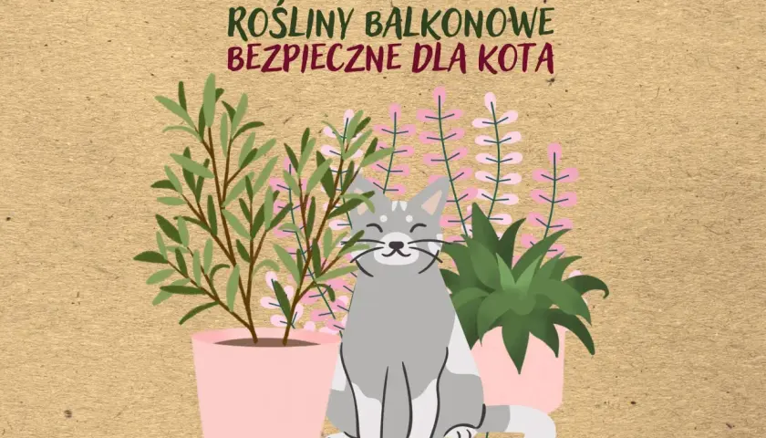 Uśmiechnięty kotek wśród roślin balkonowych bezpiecznych dla kota.
