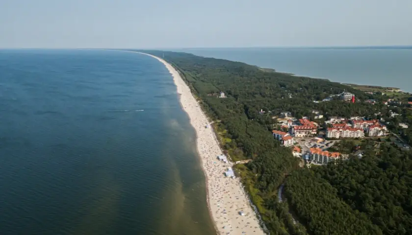 Widok z lotu ptaka na plażę w Krynicy Morskiej, przypominającą wielbłądzi garb. Widać tłumy plażowiczów, las i zabudowania.