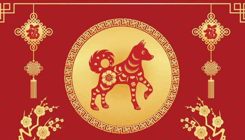 Pies jako chiński znak zodiaku: poznaj jego charakterystykę