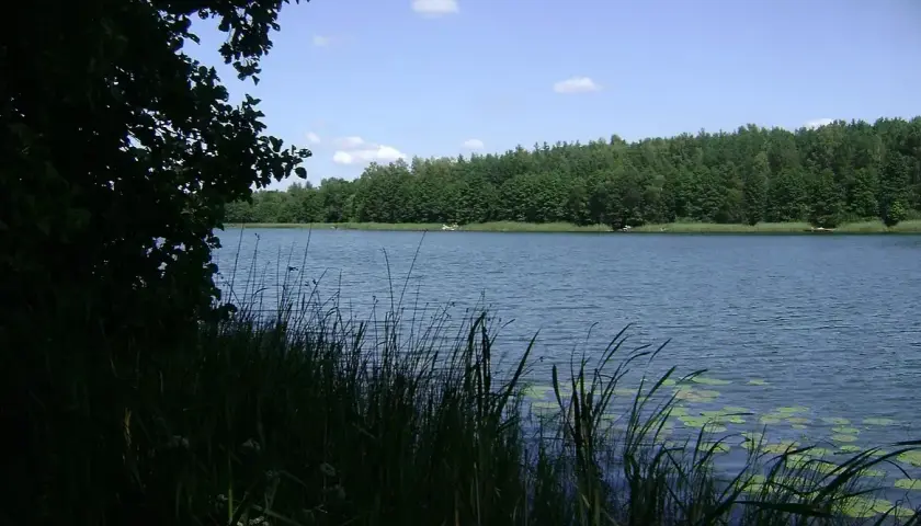 Warchały atrakcje: najlepsze miejsca na wędkowanie i relaks w naturze