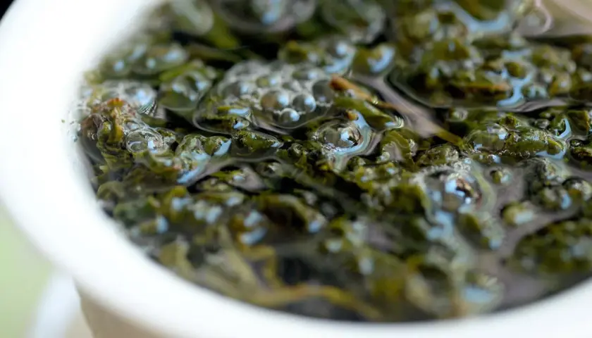 Zielone liście herbaty oolong w wodzie, uwalniające swoje cenne właściwości. Bąbelki unoszą się na powierzchni.
