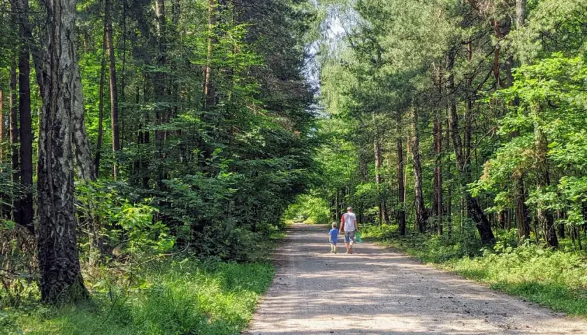 Spacer po puszczy dulowskiej. Ojciec z synem idą leśną drogą, otoczeni zielenią drzew.