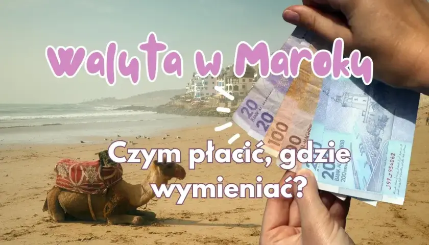 Dłoń trzyma marokańskie banknoty na tle plaży z wielbłądem i budynkami.