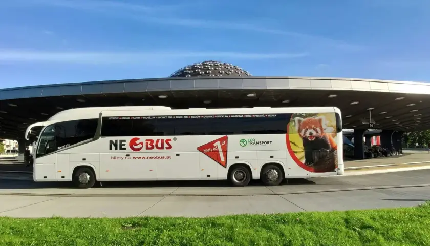 Biały autokar Neobus z wizerunkiem pandki rudej na tle nieba, gotowy do podróży z Krosna do Łodzi.
