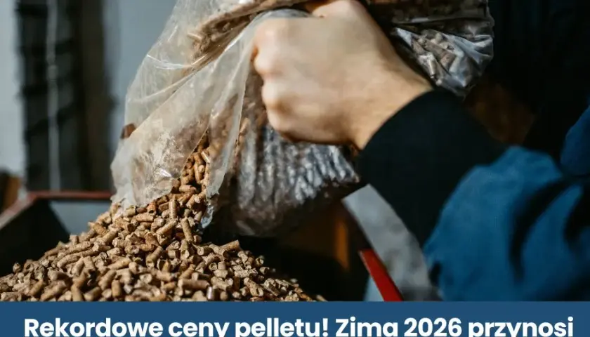 Ile kosztuje tona pelletu 2026? Sprawdź ceny i porady