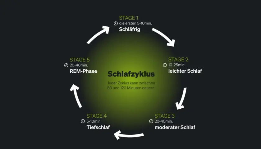 Der Schlafzyklus mit seinen Phasen (Schläfrig, leichter, moderater, Tiefschlaf, REM) erklärt die Bedeutung von gutem Schlaf. Ein Zyklus dauert 60-120 Min.