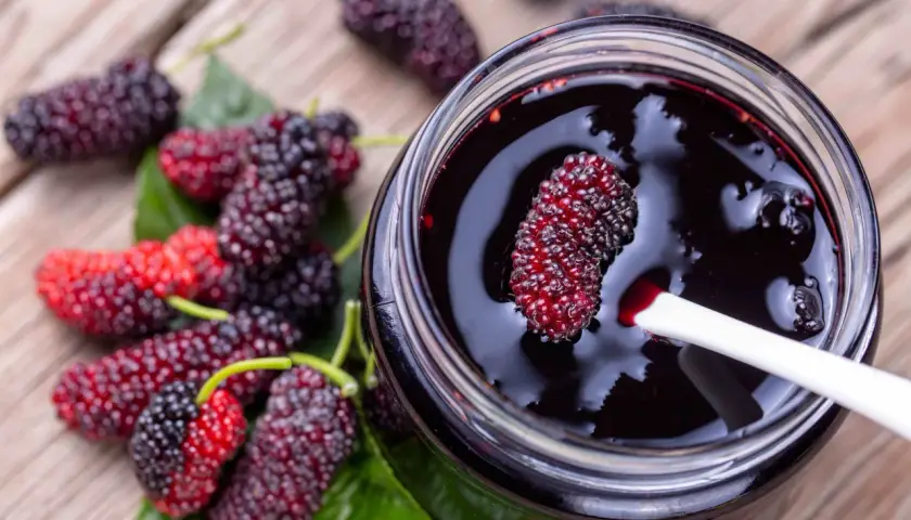 Un vasetto di marmellata di gelso frutto, con alcuni frutti freschi sparsi sul tavolo di legno.