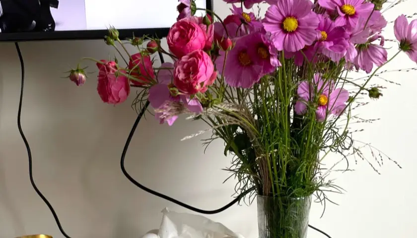 Piękne kwiaty do wazonu: różowe róże i cynie tworzą bukiet obok telewizora.