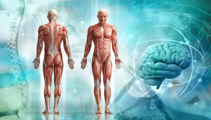 Anatomia kolarza: sylwetka i budowa ciała - Czym się różnią?
