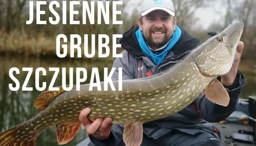 Najlepsze przynęty na szczupaka jesień - unikaj błędów w łowieniu