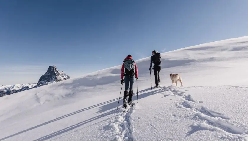 Dos personas y un perro disfrutan de una ruta con raquetas de nieve bajo un cielo azul, con una montaña nevada al fondo.