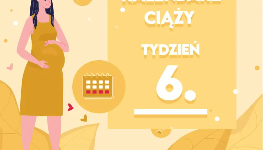 Kiedy zaczyna się 6 miesiąc ciąży? Ilustracja pokazuje ciężarną kobietę i kalendarz ciąży z zaznaczonym 6. tygodniem.