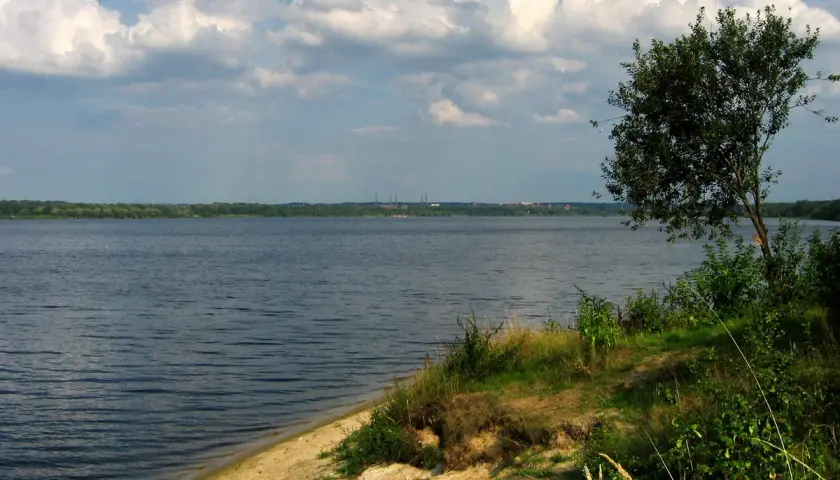 Spokojny, szeroki dzierżno duże z piaszczystym brzegiem i drzewem na pierwszym planie. Na horyzoncie las i kominy.