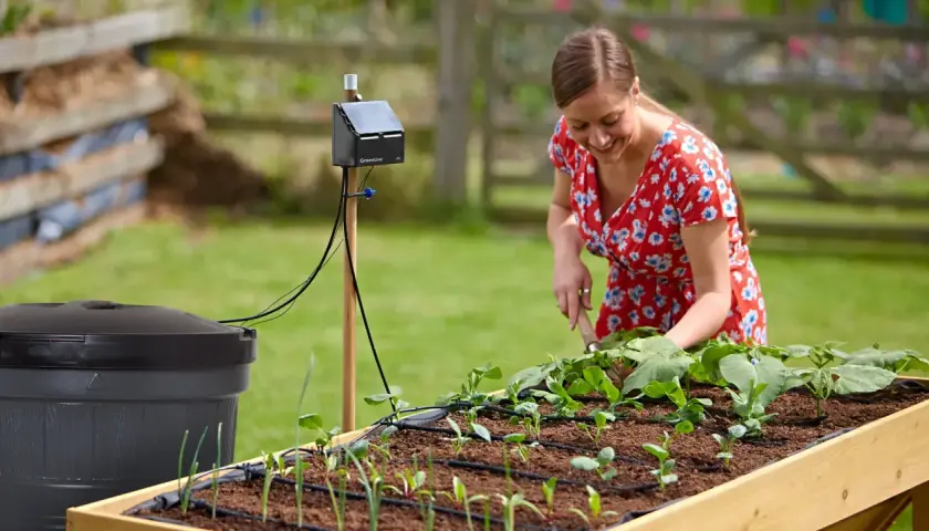 Kvinna i trädgården med ett system för att samla regnvatten och bevattna sina plantor.