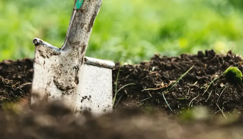Schaufel steckt im Erdreich, bereit für die Gartenarbeit. Kein Beet wird hier umgegraben, nur die Erde wird gelockert.