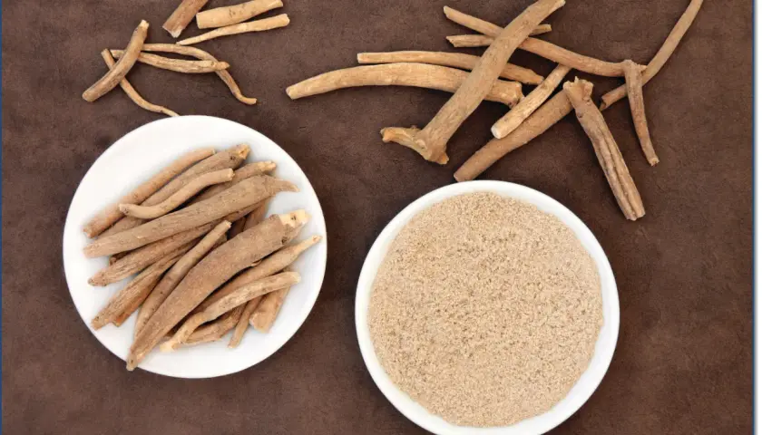 Getrocknete Ashwagandha-Wurzeln und Pulver auf braunem Untergrund. Withaferin A ist ein wichtiger Inhaltsstoff.