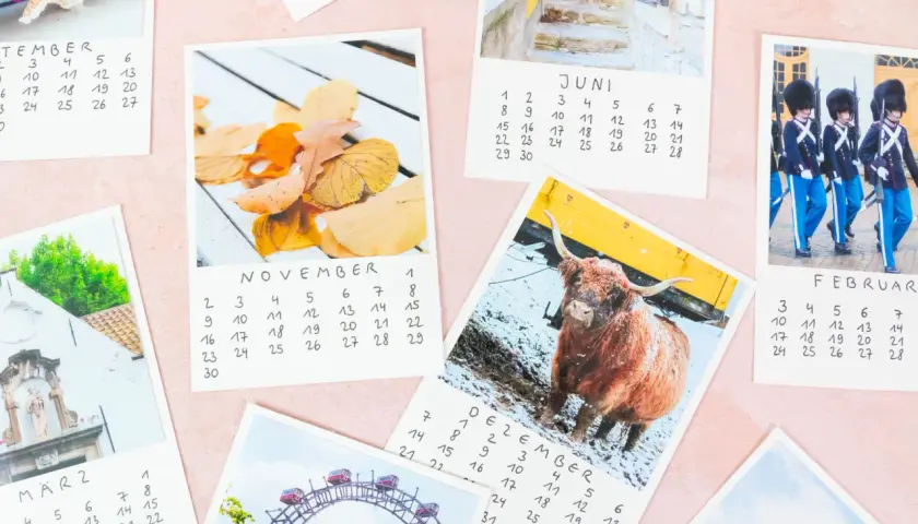 Ein **fotokalender selber basteln** mit Bildern von Novemberlaub, einem schottischen Hochlandrind, Wachsoldaten und mehr.