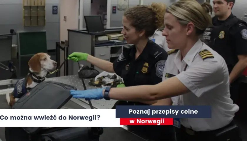 Co można przewieźć w bagażu podręcznym do Norwegii? Ważne zasady
