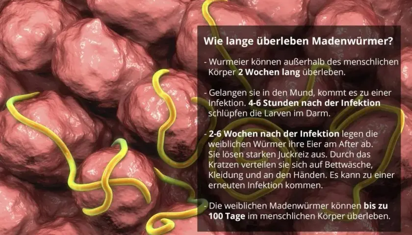Madenwürmer Symptome: So erkennen Sie die Anzeichen rechtzeitig