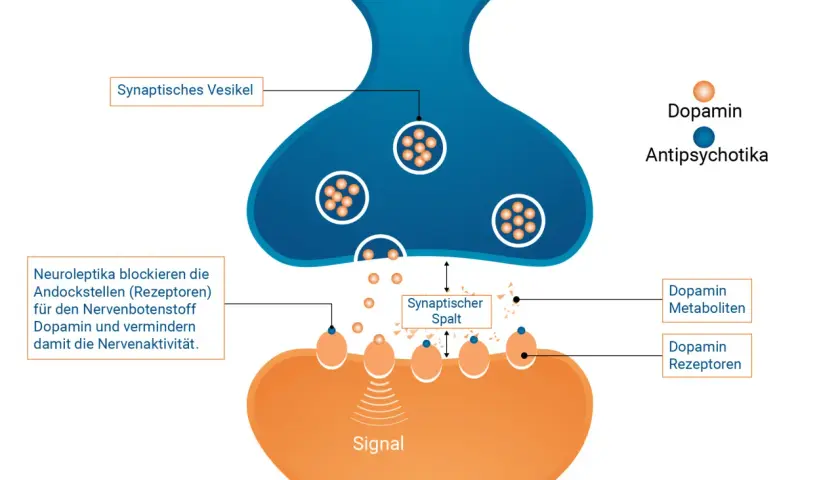 Schema einer Synapse: Dopamin-Vesikel, Dopamin-Rezeptoren und Antipsychotika.