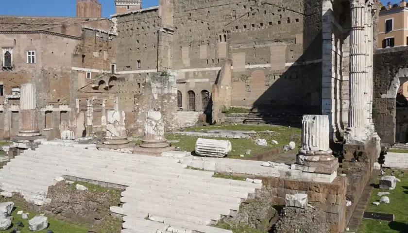 Rovine del Foro di Augusto a Roma, con imponenti colonne e scalinate di marmo bianco che emergono dall'erba verde.